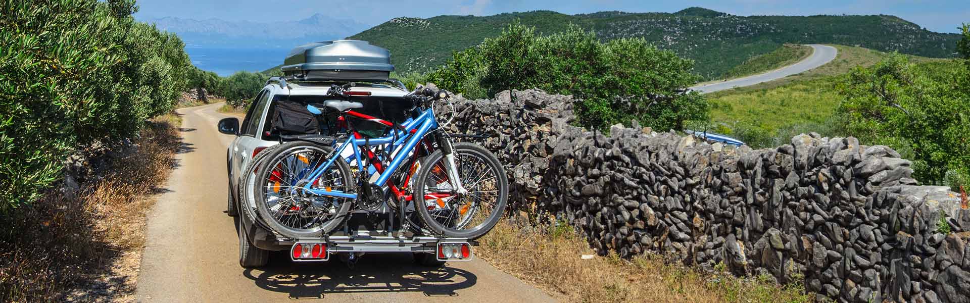 Fahrrad Kupplungsträger