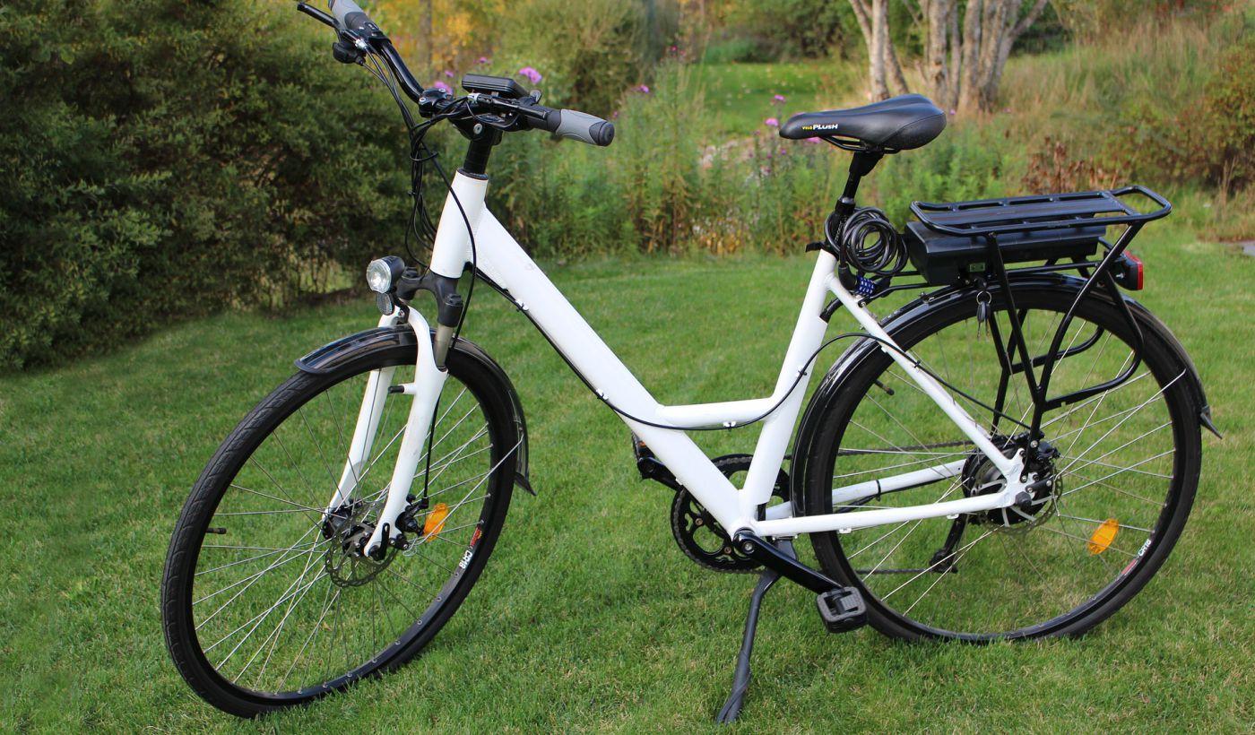 E-Bike auf Wiese