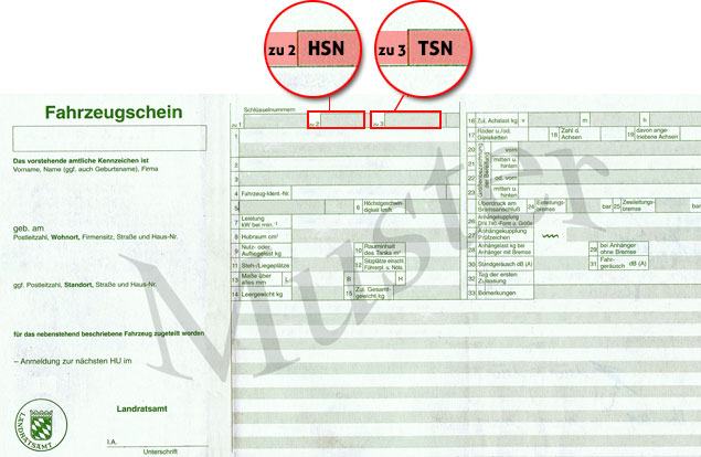 Muster Fahrzeugschein